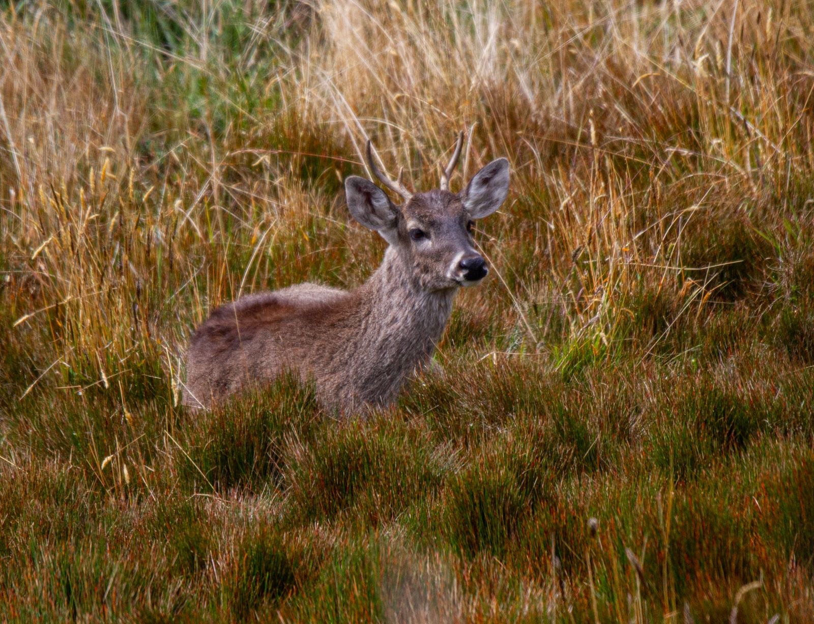 23713228-166b-4b64-87e2-506c44cb6326