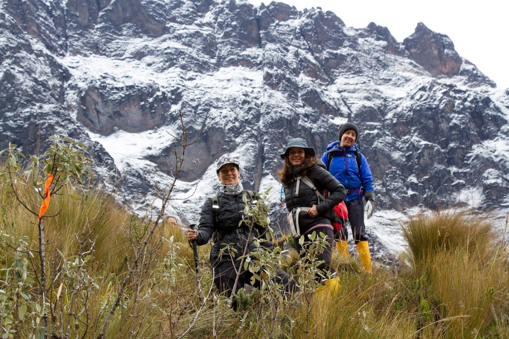 Ruta natural con montaña y cielo nublado suave