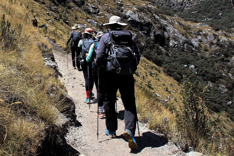 Conexión con la naturaleza en paseo de bienestar