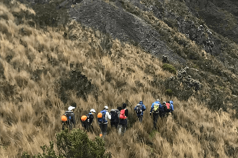 Sendero rodeado de vegetación y naturaleza en trekking