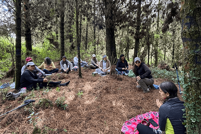 Momento de descanso con arboles y naturaleza