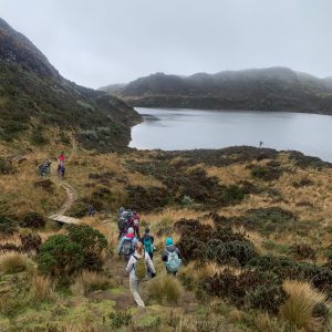 Trekking del Oso – Parque nacional Cayambe Coca